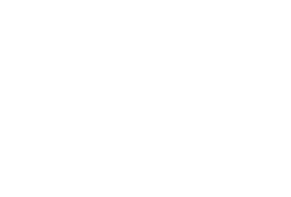 Logo A.P.E.S., version originale, blanc (LADV)