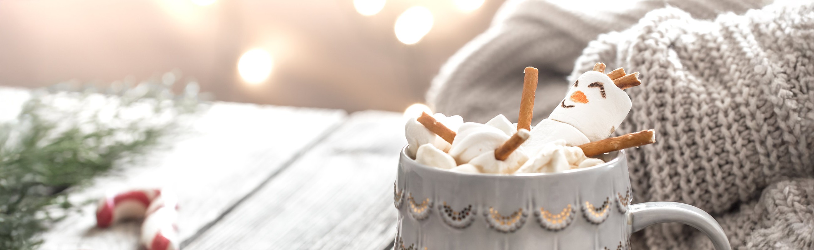 Vignette Congé des Fêtes